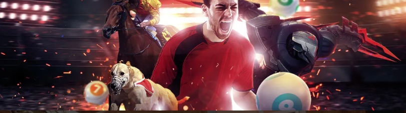 ⚠️ 유로247 스포츠 베팅 초보가 자주 하는 실수 5가지